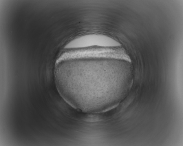 X0000088670376200706281926
