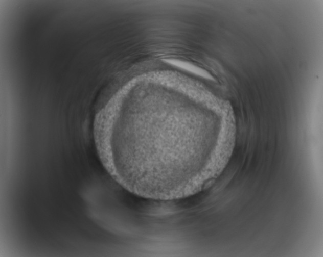X0000088670377200706281926