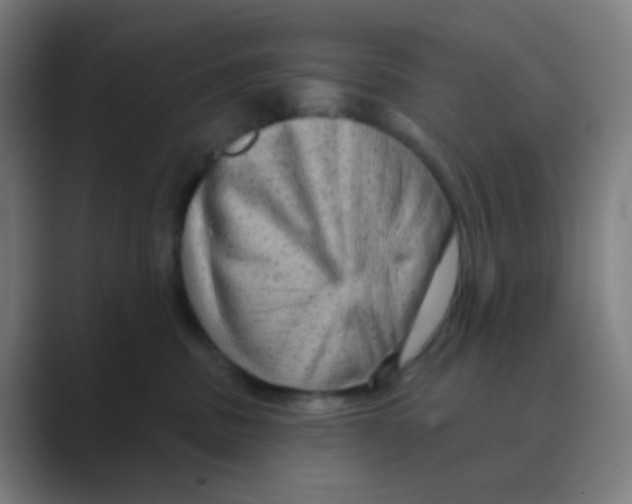 X0000088670379200706281926