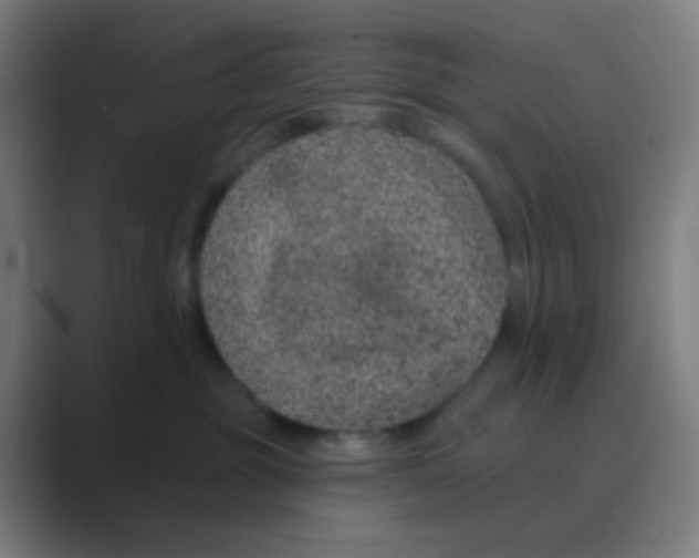 X0000088670381200706281926