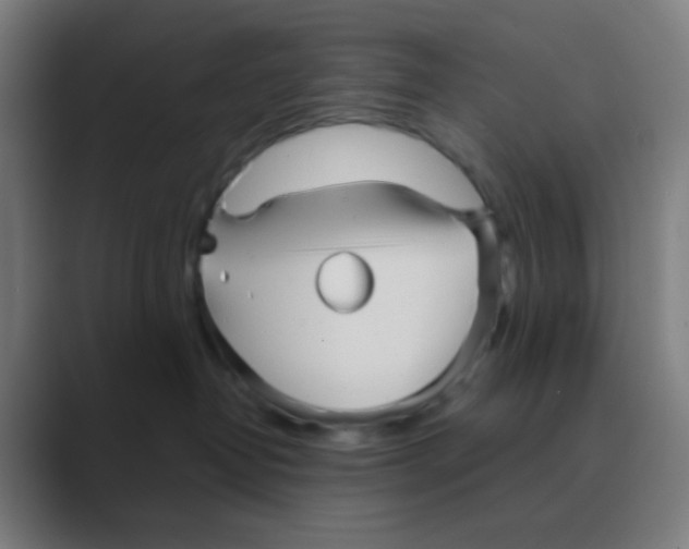 X0000088670382200706281926