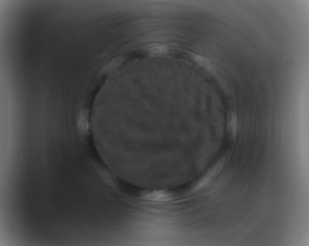 X0000088670383200706281926