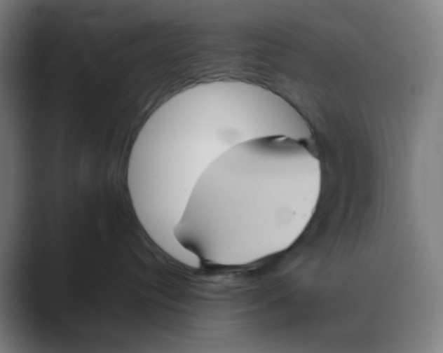 X0000088670384200706281927
