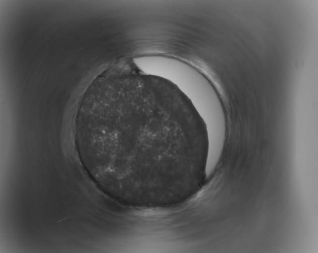 X0000088670385200706281926