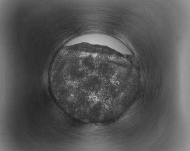 X0000088670386200706281926