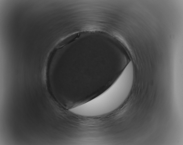X0000088670387200706281926
