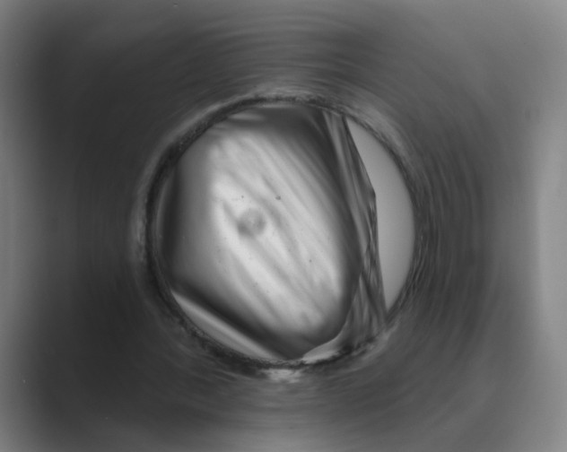 X0000088670388200706281926