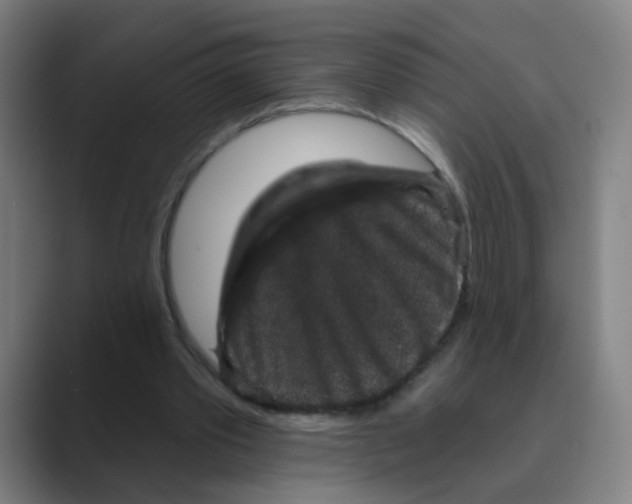 X0000088670389200706281926