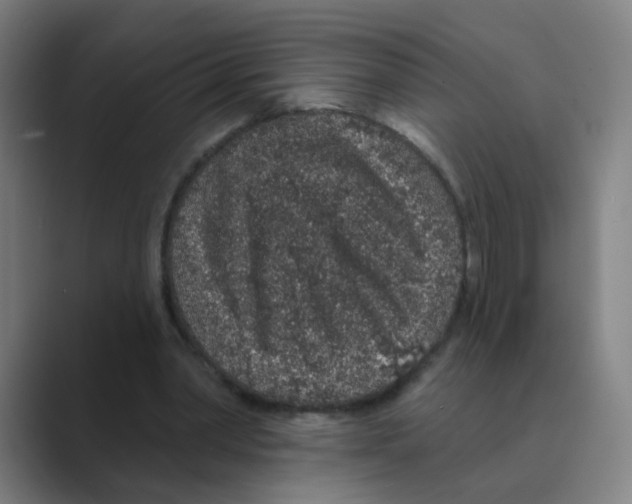 X0000088670390200706281926