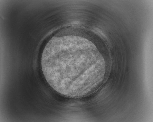 X0000088670392200706281926