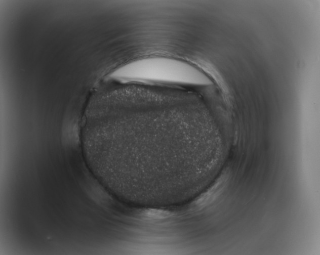 X0000088670393200706281926