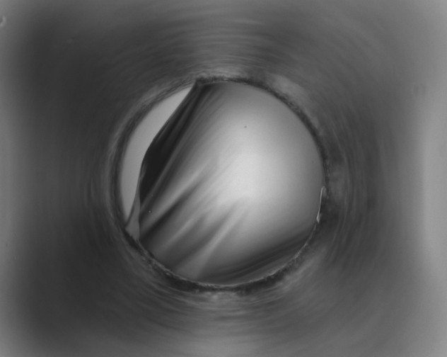 X0000088670395200706281926