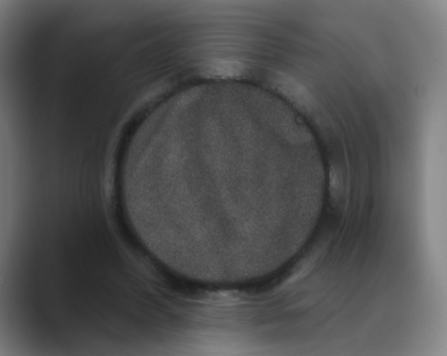 X0000088670396200706281926