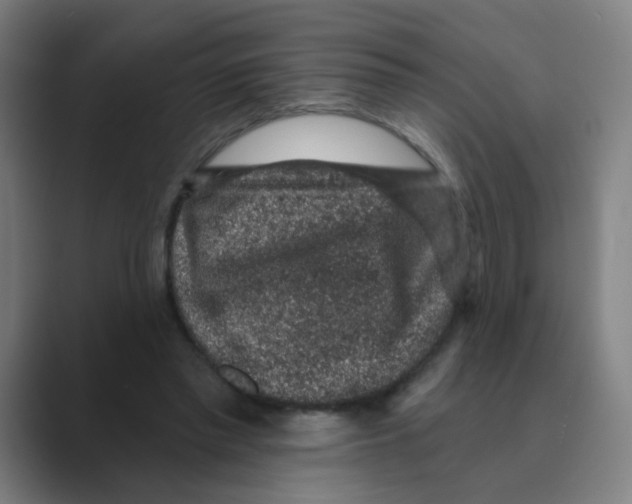 X0000088670397200706281926