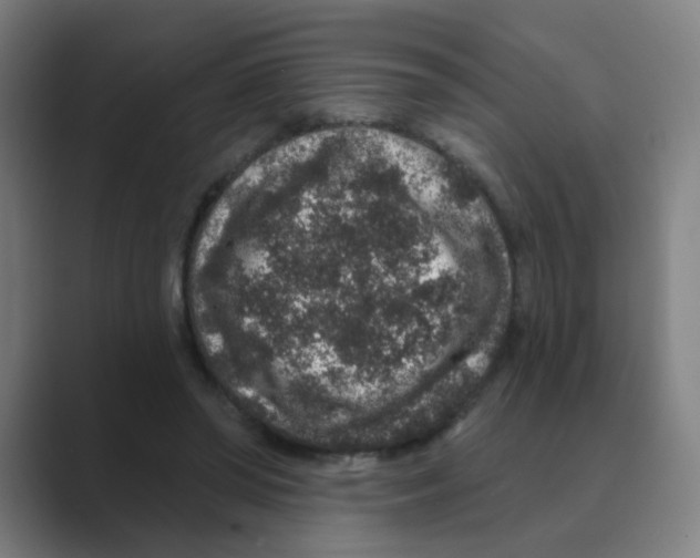 X0000088670398200706281926