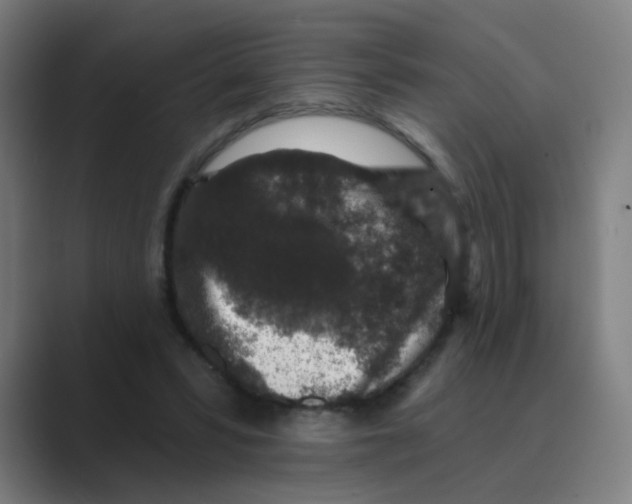 X0000088670399200706281926