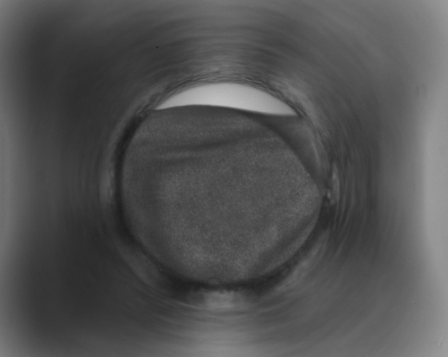 X0000088670400200706281926