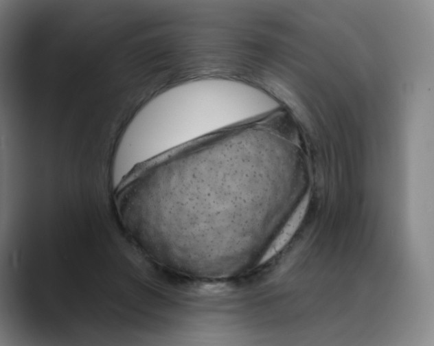 X0000088670401200706281926