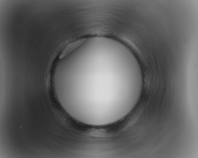 X0000088670403200706281925