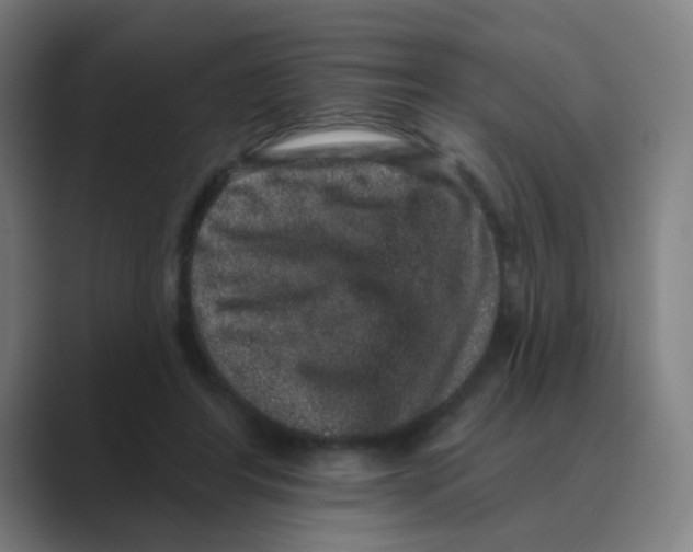 X0000088670404200706281925