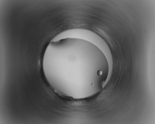 X0000088670405200706281925