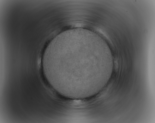 X0000088670406200706281925