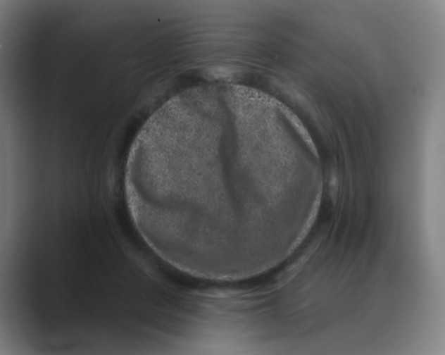 X0000088670408200706281925