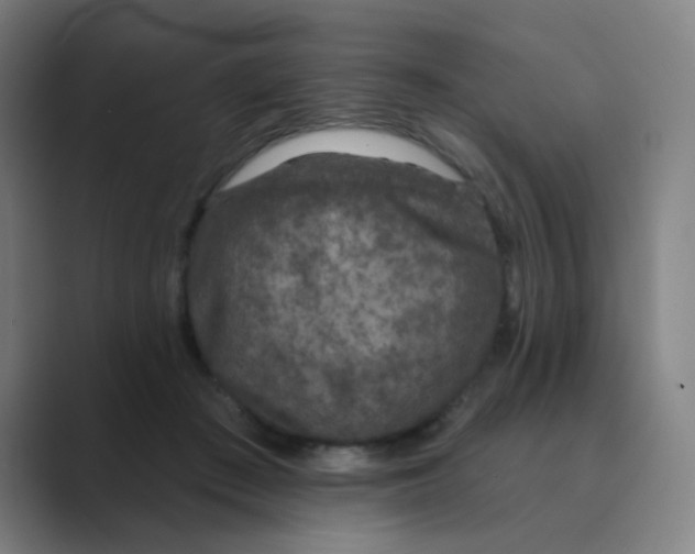 X0000088670409200706281925