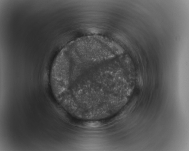 X0000088670410200706281925