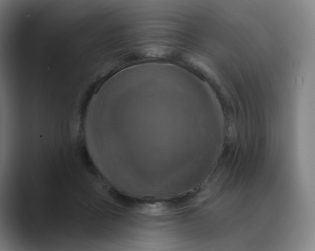 X0000088670411200706281925
