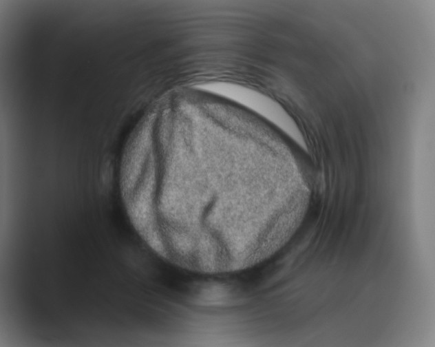 X0000088670412200706281925