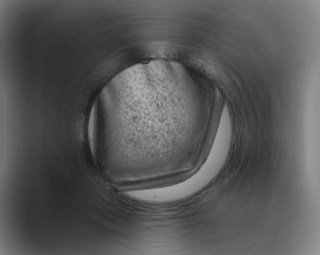 X0000088670413200706281925