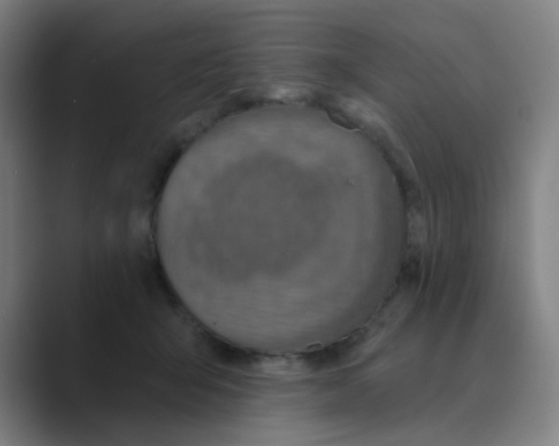 X0000088670415200706281925
