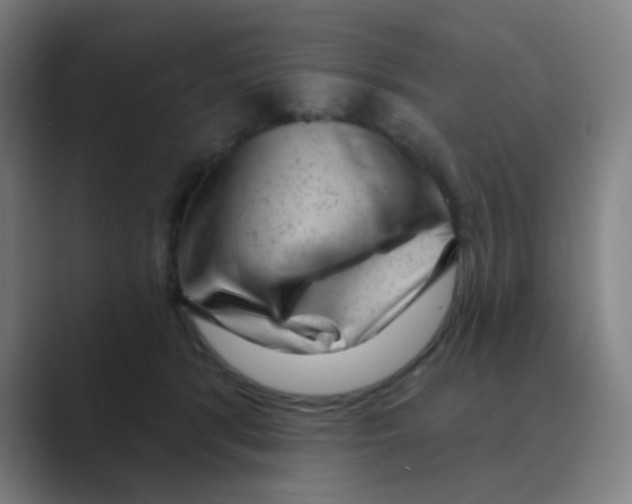 X0000088670416200706281925