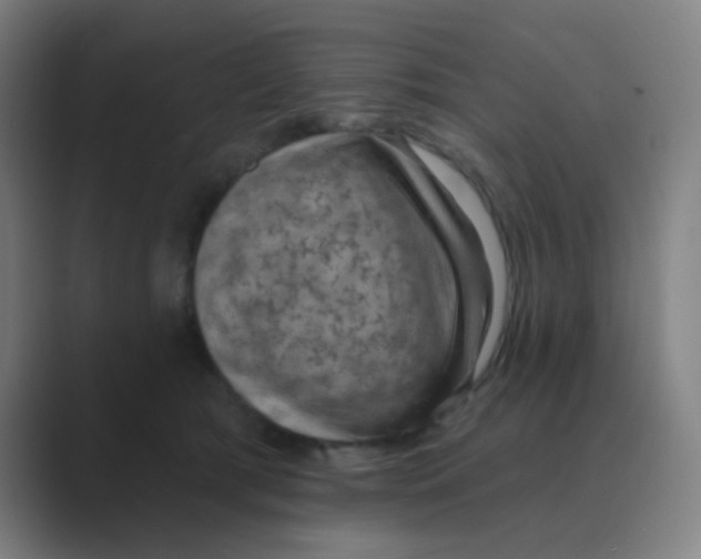 X0000088670417200706281925