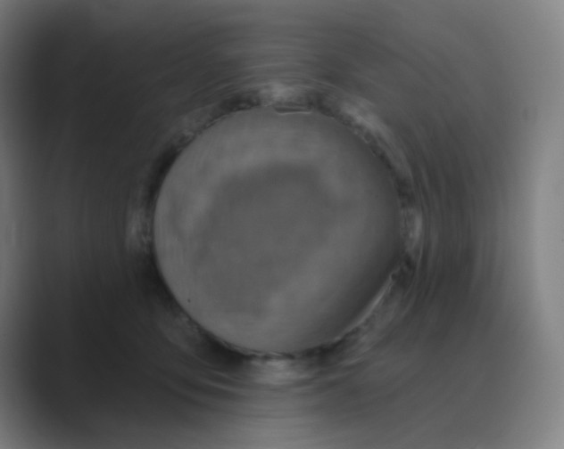 X0000088670419200706281925