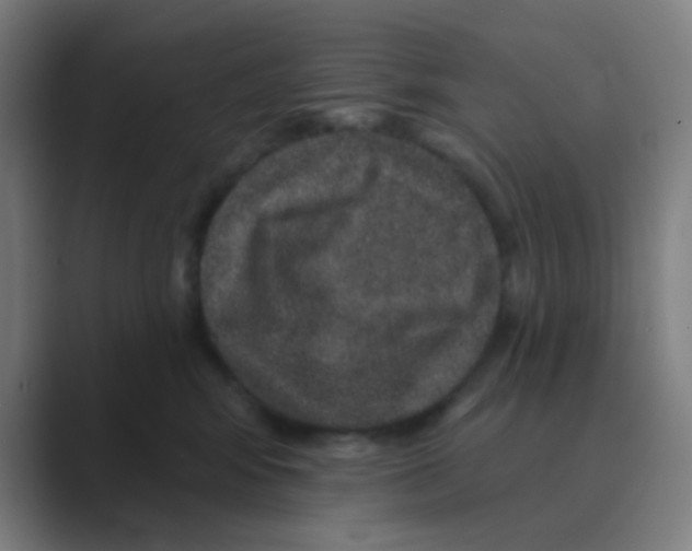 X0000088670424200706281925