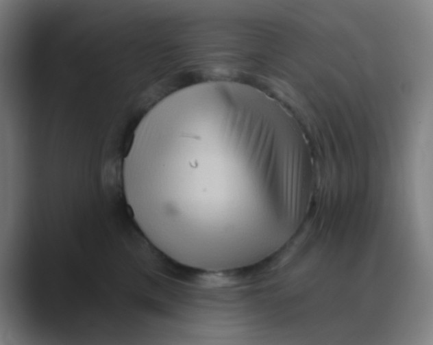 X0000088670425200706281925