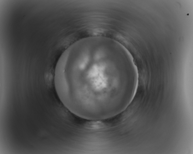 X0000088670427200706281925