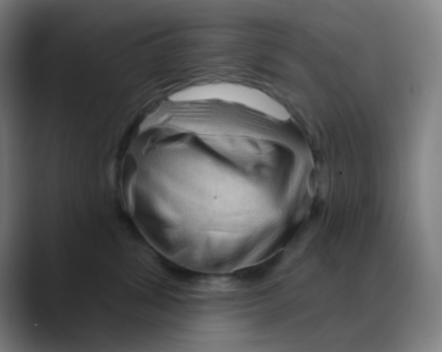 X0000088670428200706281925