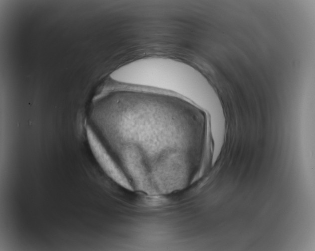 X0000088670429200706281925