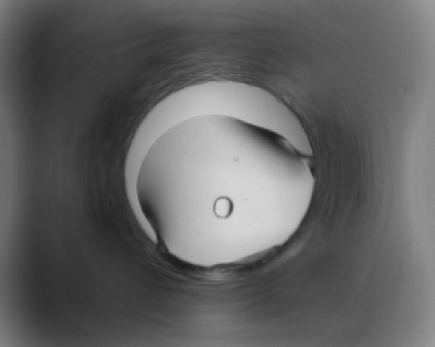 X0000088670432200706281925