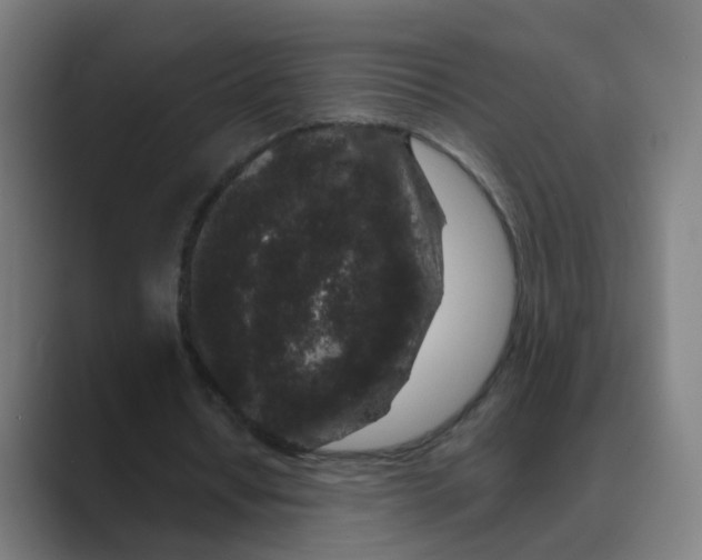 X0000088670434200706281925