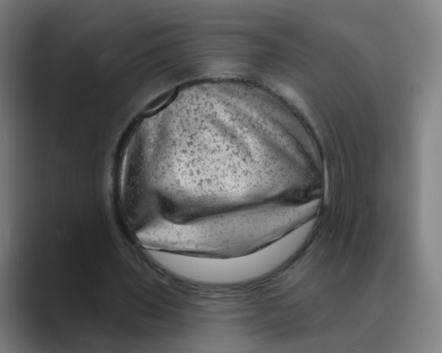 X0000088670435200706281925