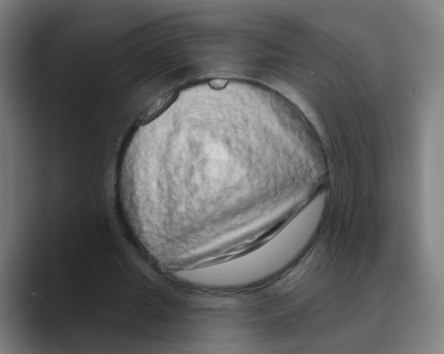 X0000088670437200706281925