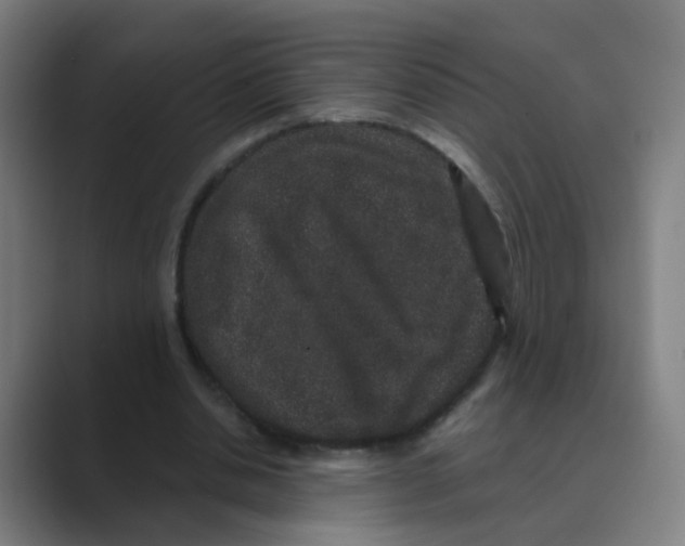 X0000088670438200706281925