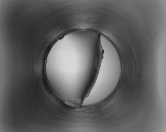 X0000088670440200706281925