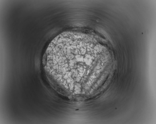 X0000088670444200706281925