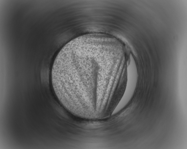 X0000088670445200706281925