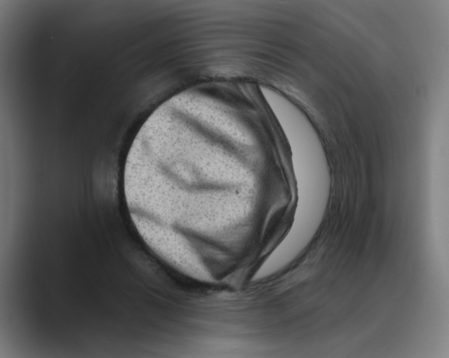 X0000088670446200706281925